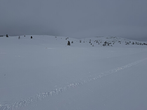 Vesle og Store Skinalia.