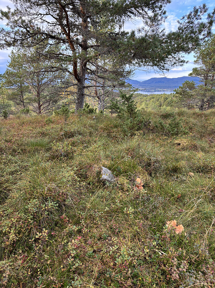 Toppunktet på øya 284 moh.