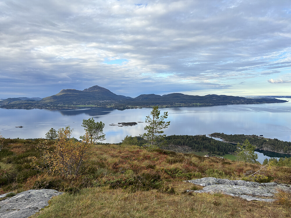 Det noen hundre ganger mer trivelige punktet på øya 278moh, som dessverre ikke er øytoppen. 