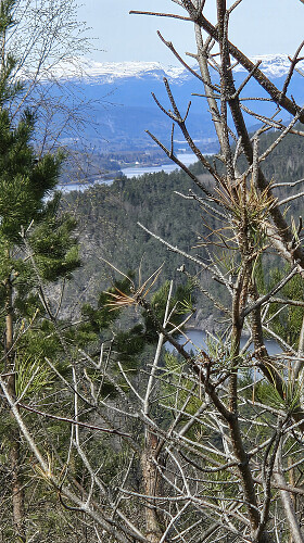 Utsikten mot Lifjell med Norsjø som bukter seg oppover var kanskje den fineste