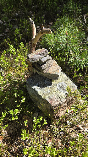 Toppmarkeringen