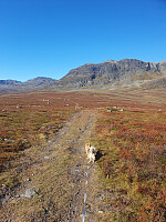 HanneKarlsen_20250924_68d4335962b1e.jpg
