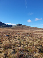 HanneKarlsen_20250924_68d4335ab08ba.jpg