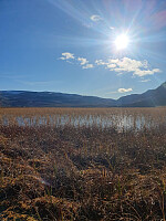 HanneKarlsen_20250924_68d433609922c.jpg