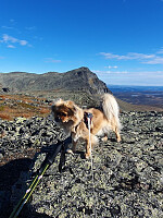 HanneKarlsen_20250924_68d4366176ea0.jpg