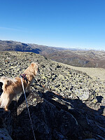 HanneKarlsen_20250924_68d43664372ee.jpg
