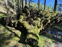 FjellEggen_20250915_68c7ea3781a68.jpeg