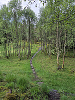 risvollhilde_20260604_6a2132c41e1f4.jpg