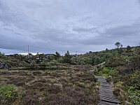 risvollhilde_20260604_6a2132c77e7c3.jpg
