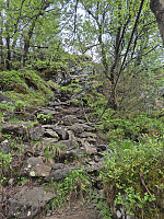 risvollhilde_20260604_6a2132cb965c1.jpg