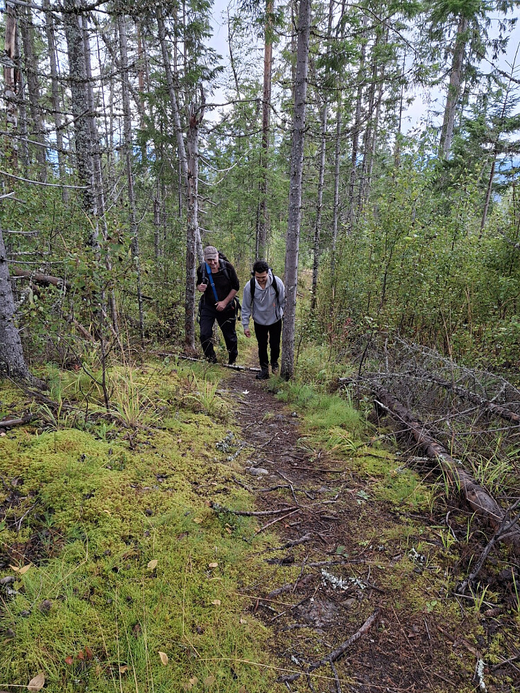 Arne og Zahir i fint driv gjennom skogen