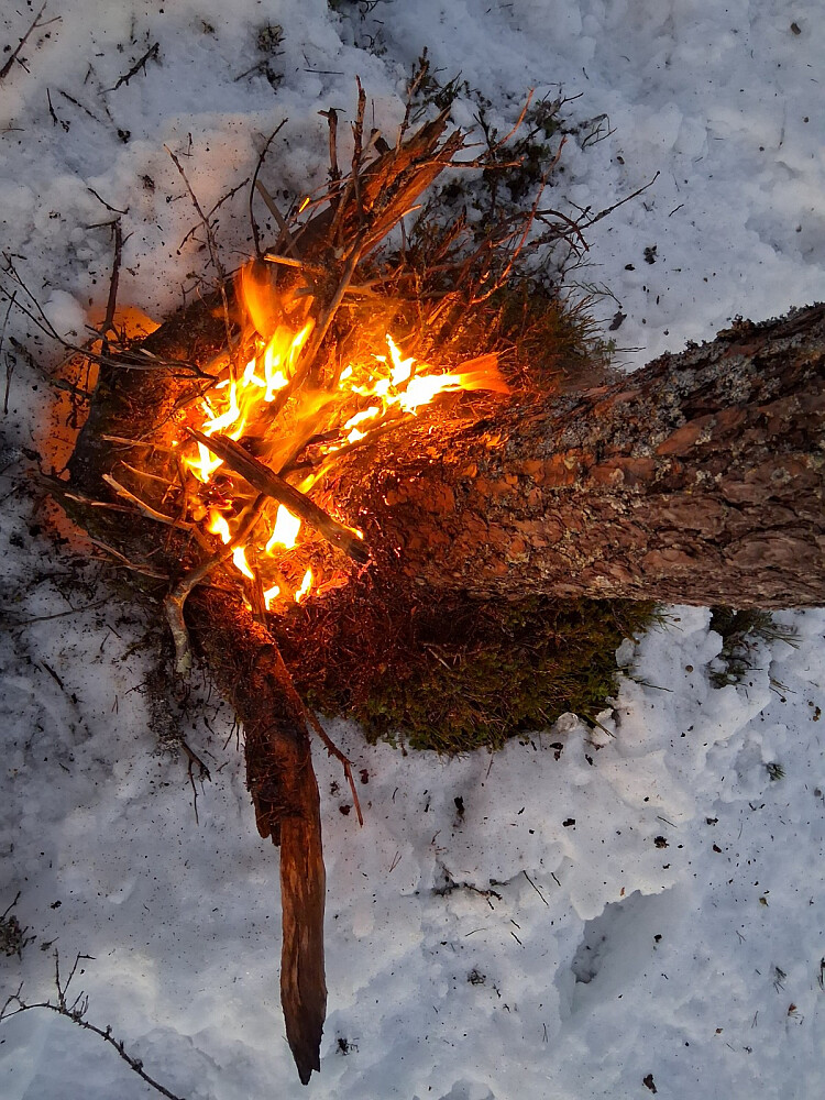 Etter litt "styr" ble det et fint bål og jeg kunne grille brødskiva mi!!
