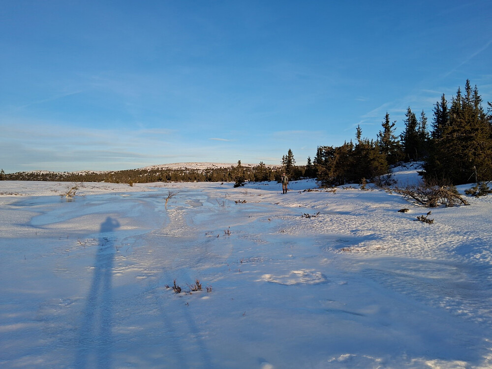 Arne tar ut kursen mot Gråfjellet