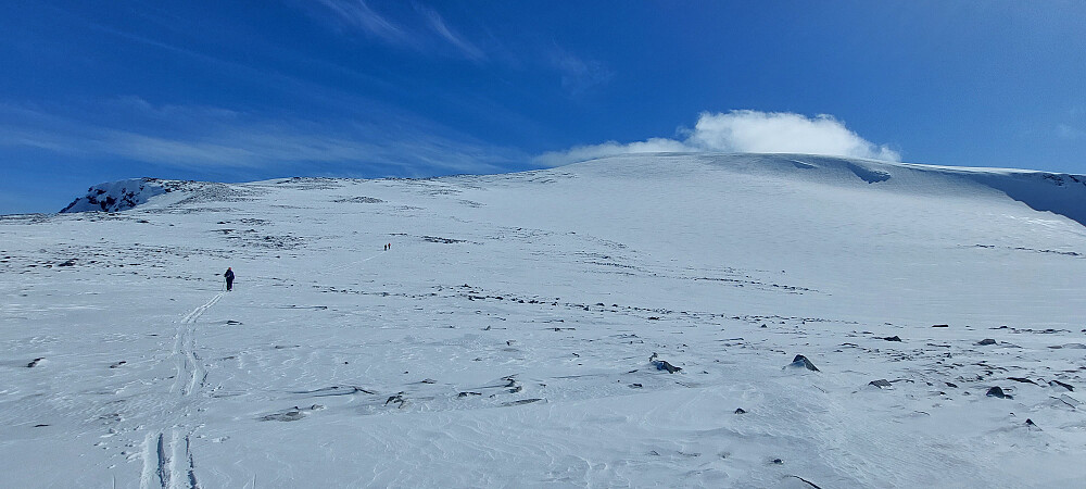 Siste bakke opp breen mot Leirhøe.