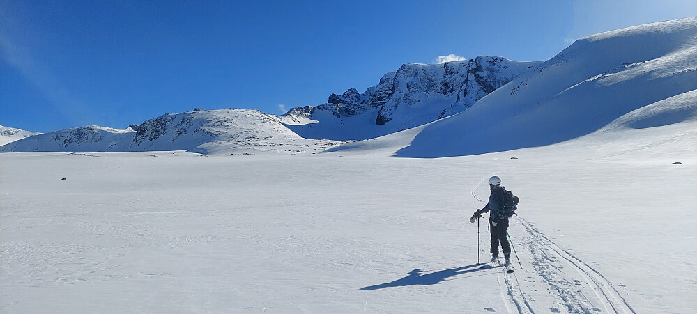 Tonje med Leirhøe bak. Veobreahesten framanfor Leirhøe.