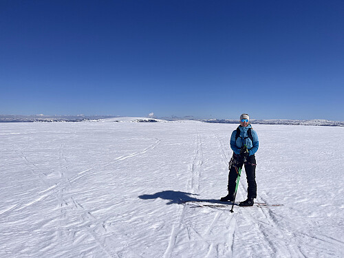 Tonje med Nordre Folgefonna til venstre og Hardangerjøkulen til høgre.