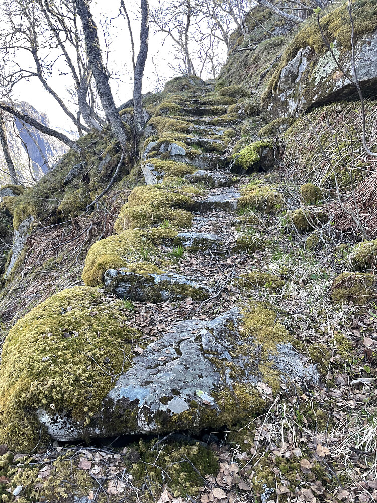 Steintrapper langs Bispevegen.