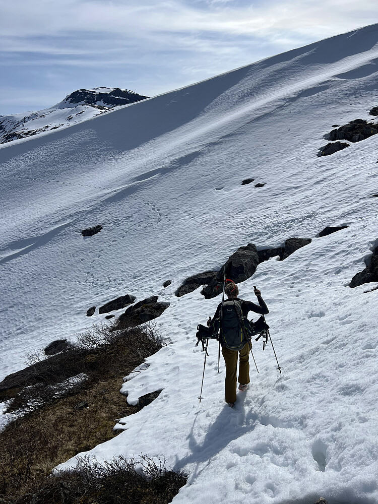 Kommet over tregrensa. Her lå det snø.