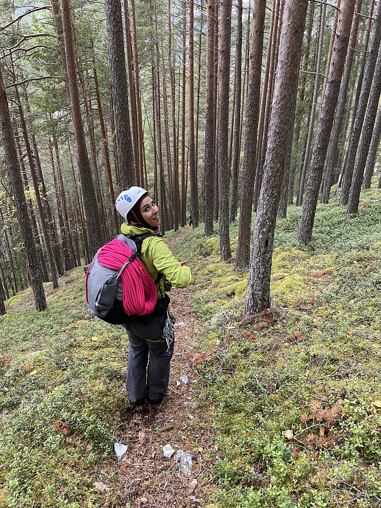 Fin sti tilbake igjen.