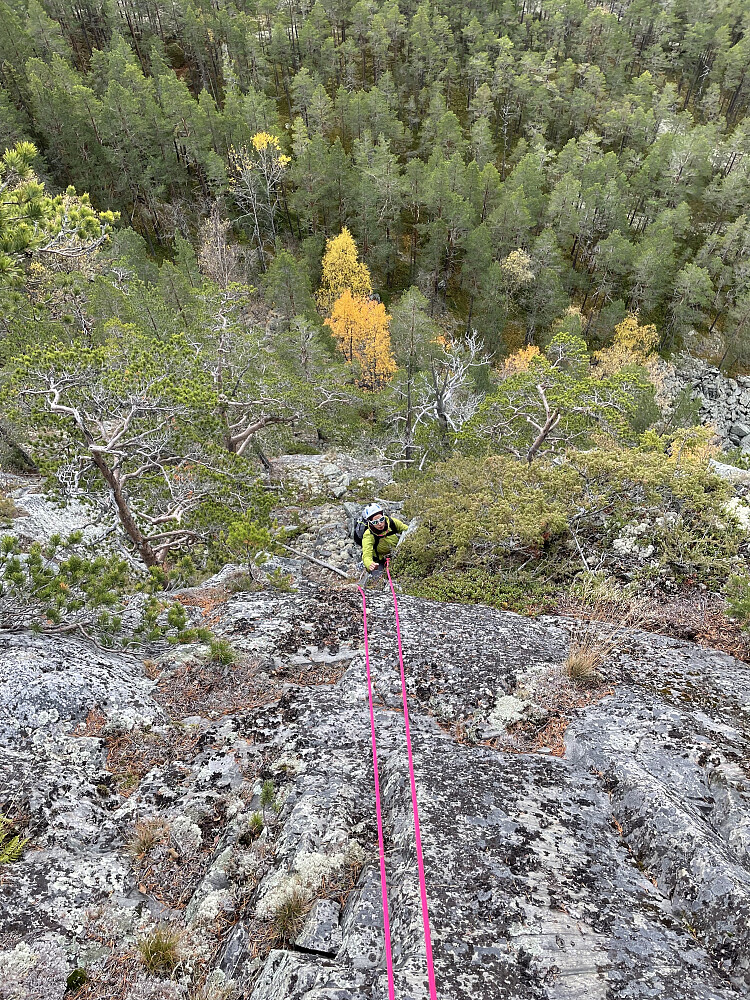 I fjerde (?) taulengde i andre seksjon.