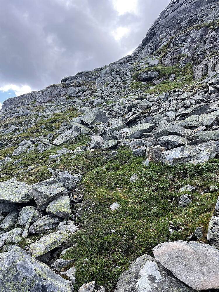 Fint hyllesystem å følge østover.