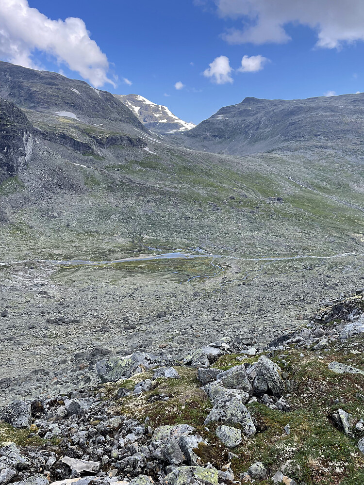 Tilbakeblikk mot Gjertvasselvi.