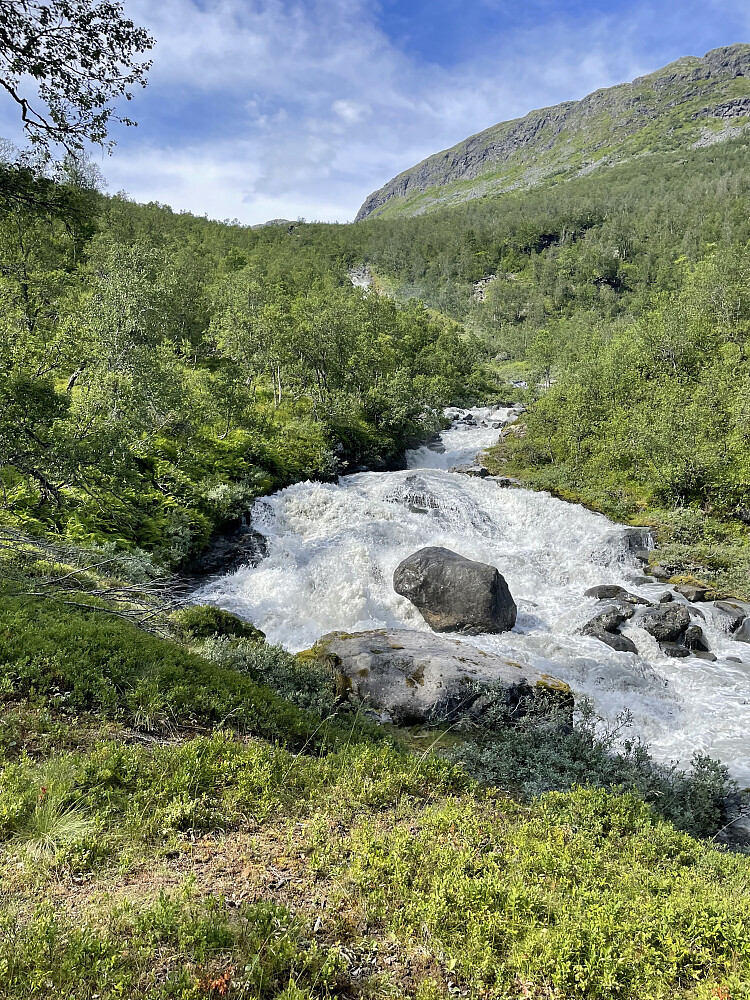 Maradøla.