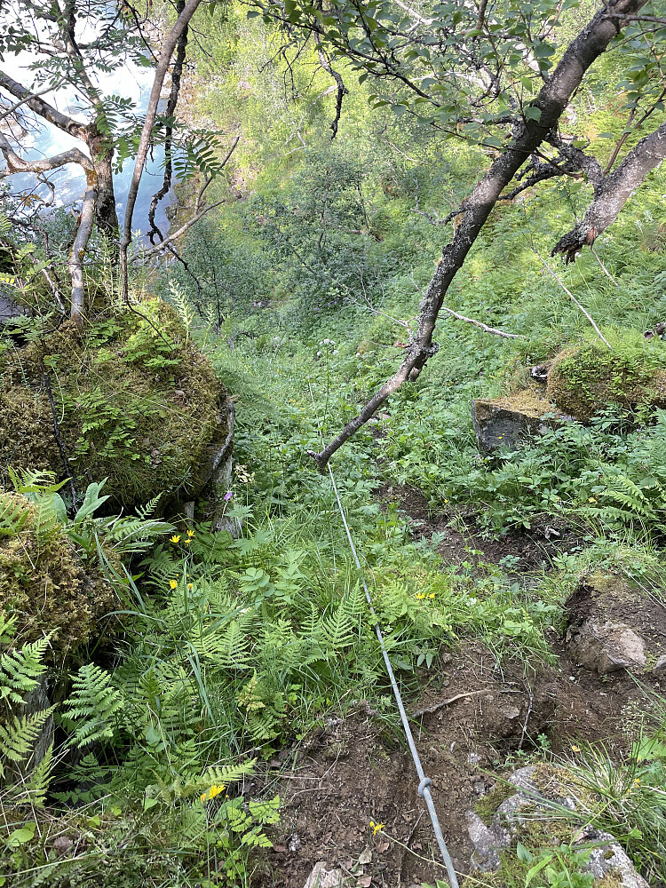 Bratt jordrenne før Bjørneskori.