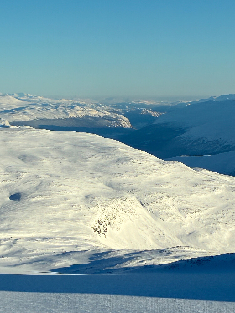 Kan faktisk se helt hjem!