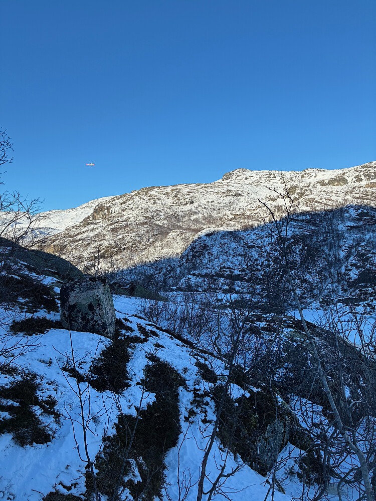 Uthenting med SAR Queen i Kastdalen. En i gruppa hadde en uheldig kollisjon med en fjellbjørk.