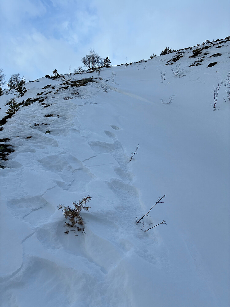 Drønn og skytende sprekker her.