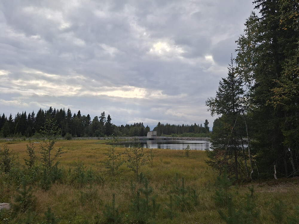 Krokflø