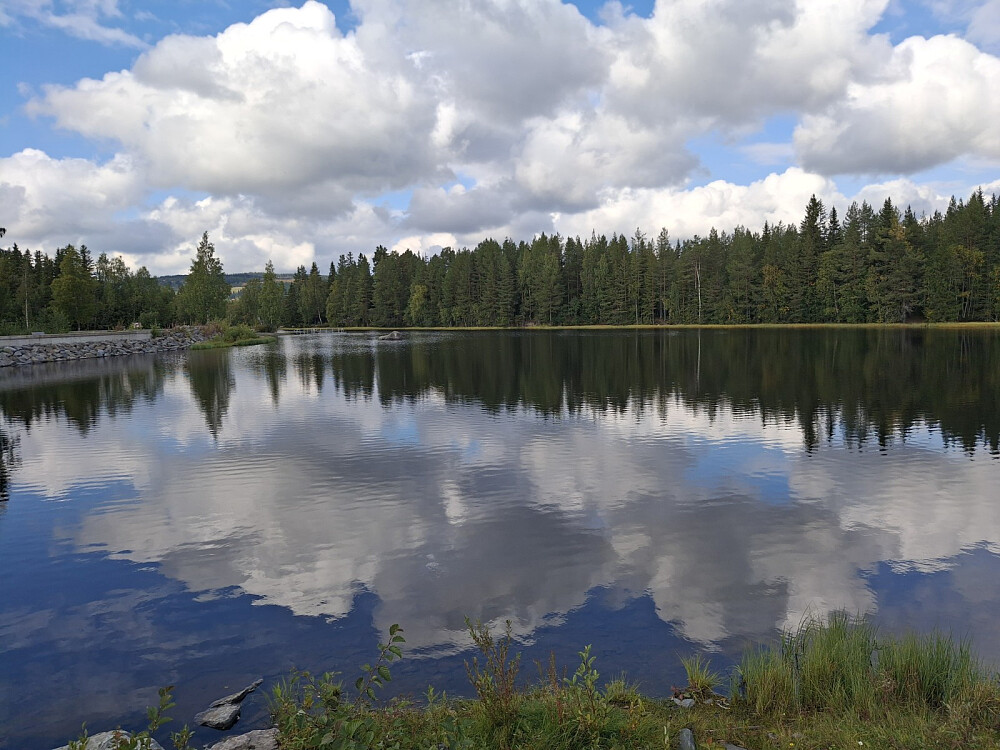 Krokflø