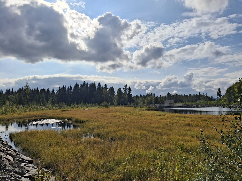 Ved Krokflø