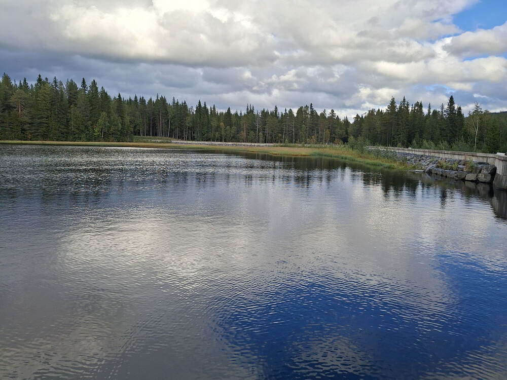 Krokflø