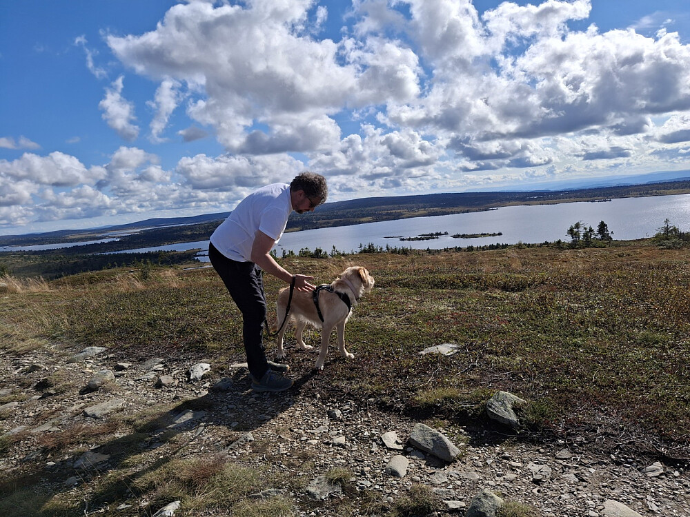 Kommet opp i høyden