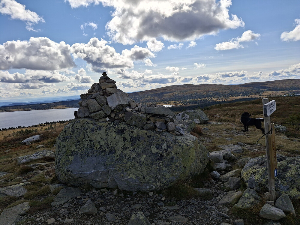 På Reinsfjellet