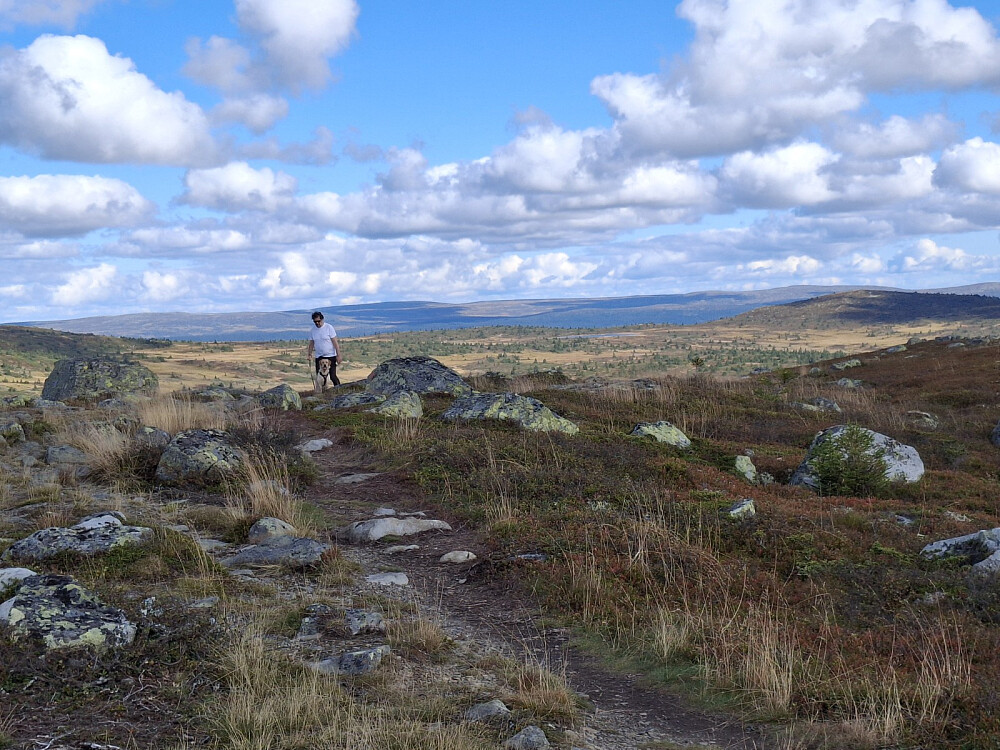 På Reinsfjellet