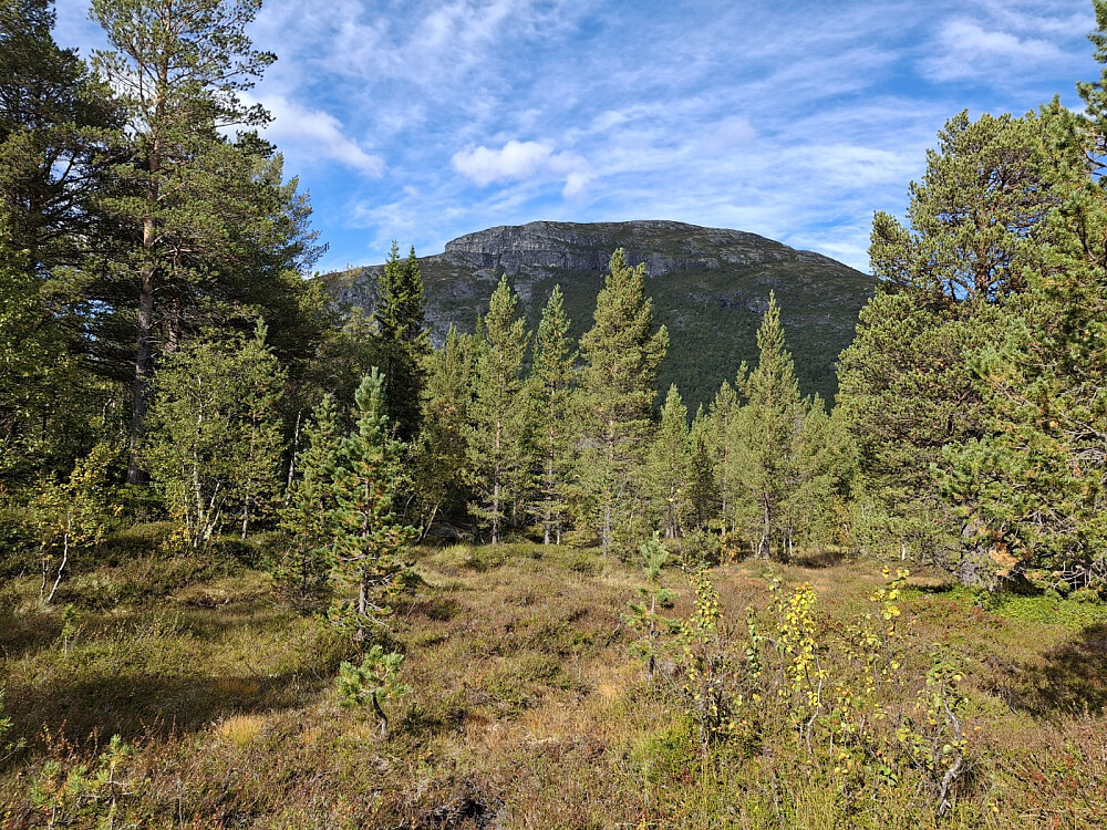 Mot Rånåkollen