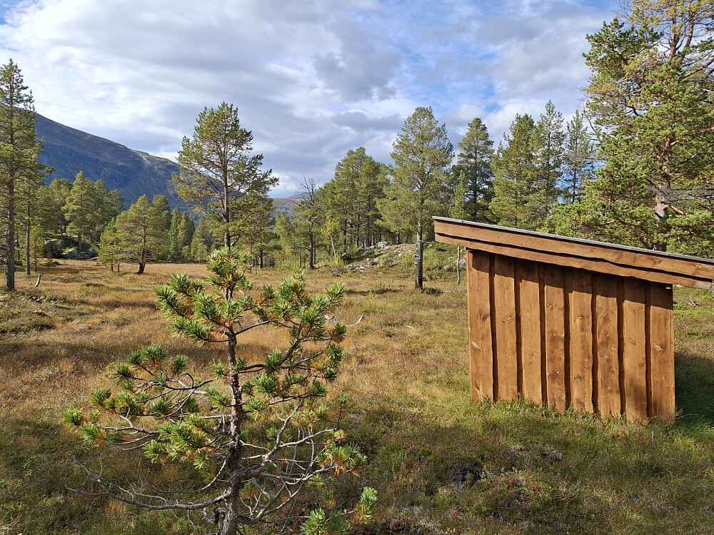 Rånå gapahuk