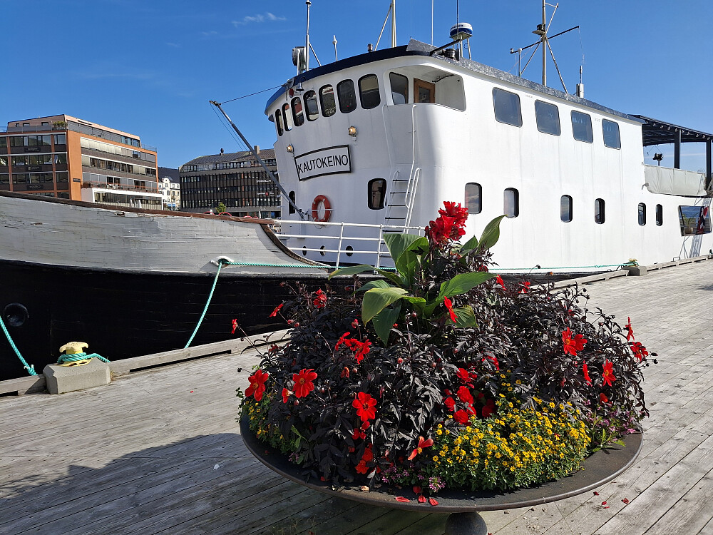 Blomstring på kaikanten