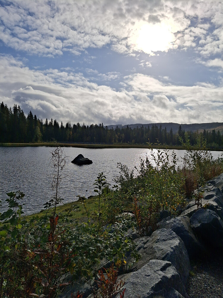 Krokflø