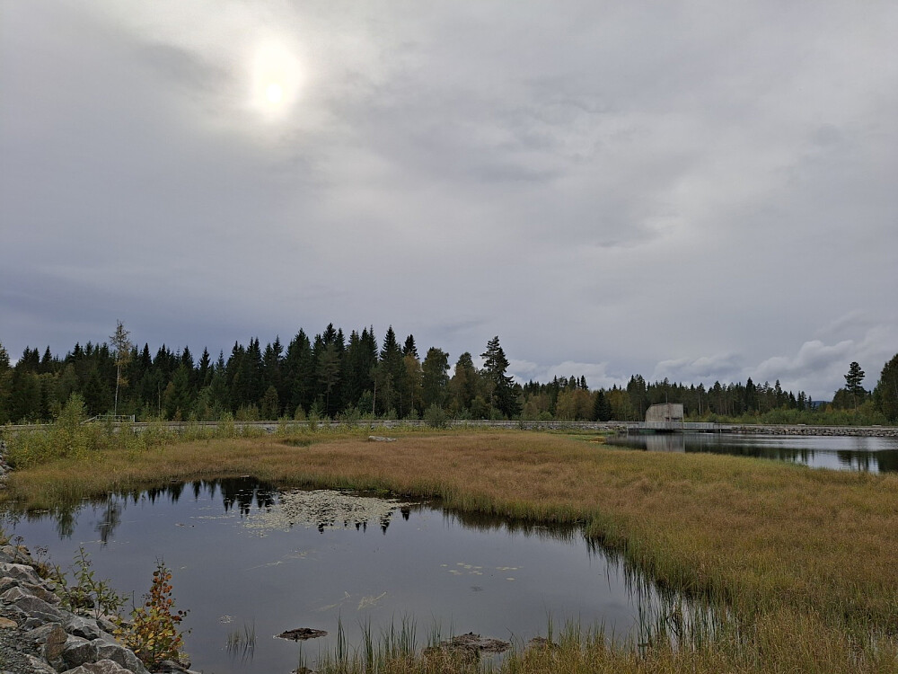 Krokflø