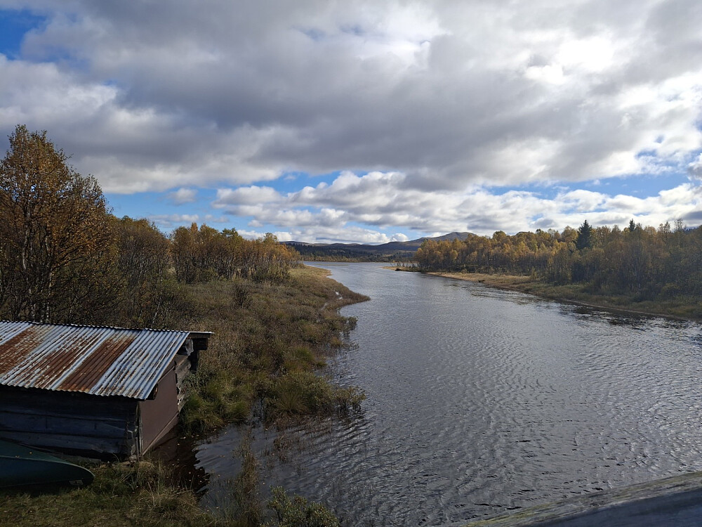 Fjelldokka