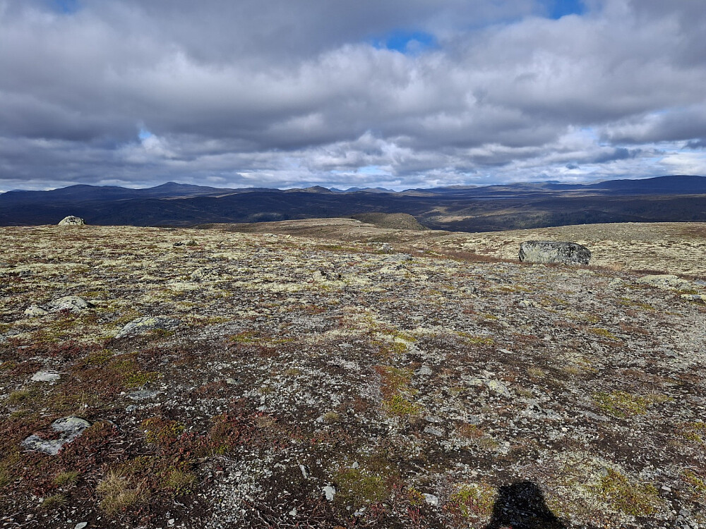På Vågskarfjellet