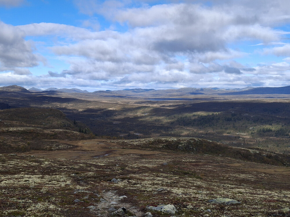 Ned fra Vågskardfjellet