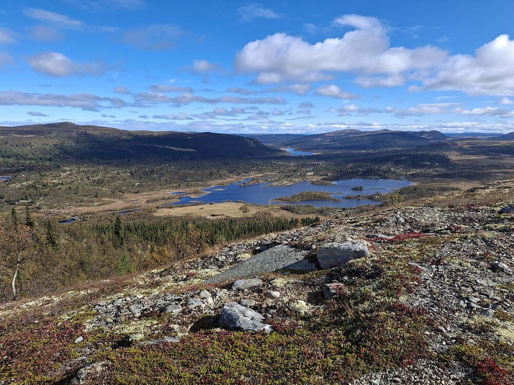Ned fra Vågskarfjellet