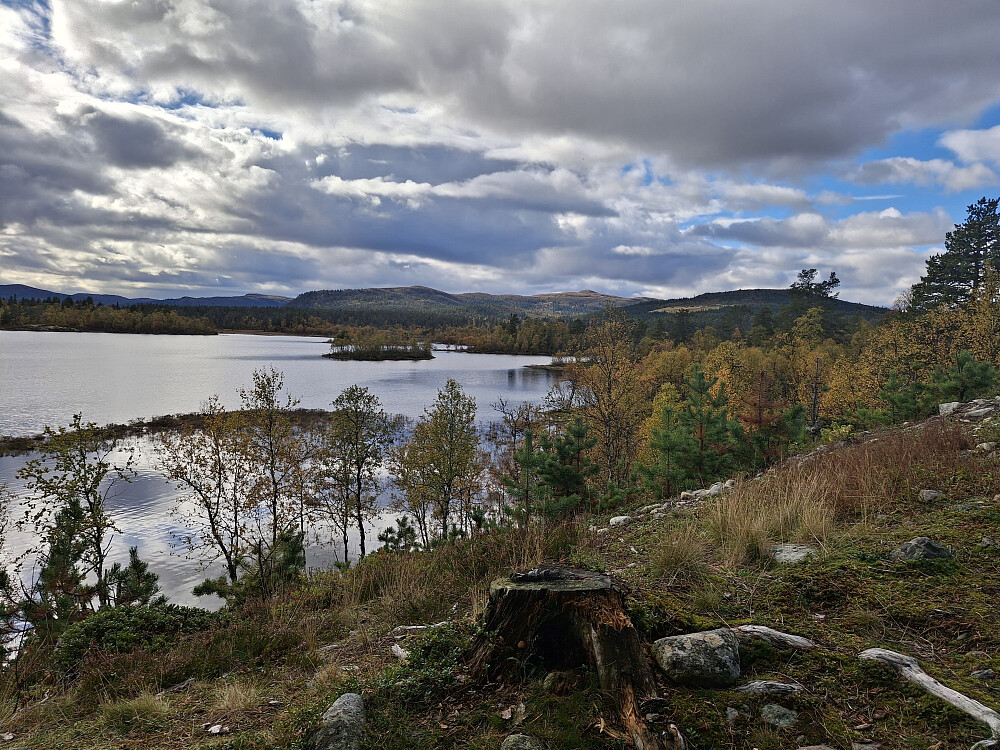 Ved Bjørnstadhytta