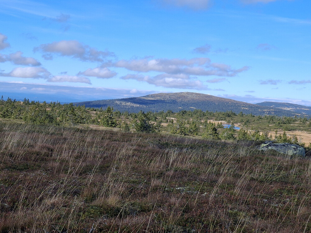 På Lunkefjell vest