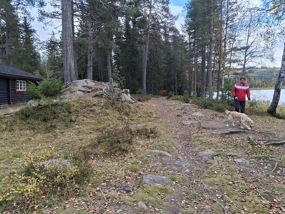 Ved Krokbua